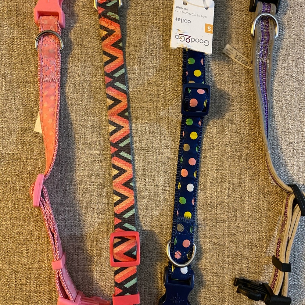 Girl dog collars